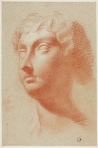 Cabeça feminina