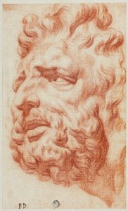 Chefe de Laocoonte