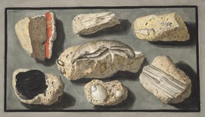 Espécimes de Tufa encontrados dentro e nos arredores de Herculano, Placa XXXXV, de &39;Campi Phlegraei: Observações sobre os Vulcões das Duas Sicílias&39;, de Sir William Hamilton (1730-1803), publicado em 1776 (col.