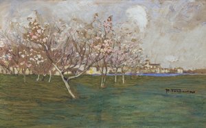 Primavera