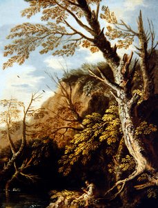 Uma Paisagem arborizada com um Eremita (óleo sobre tela) de Pietro Montanini