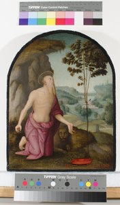 São Jerônimo no Deserto, c.1510-15 de Pietro Perugino