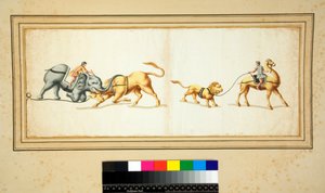 Cópia de um mosaico de um Elefante lutando contra um touro (giz preto, alguns com caneta e tinta marrom. colorido com aquarela) de Pietro Santi Bartoli