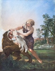 David Killing the Lion (óleo sobre tela) de Pietro da (1596-1669) Cortona