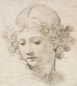 Cabeça de um anjo, olhando para a esquerda de Pietro da Cortona