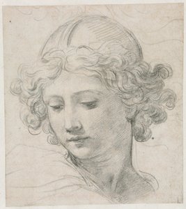 Estudo para o Chefe de São Miguel, 1633. de Pietro da Cortona