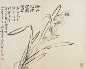 Paisagens, flores e pássaros: Narciso, Dinastia Qing de Luo Ping