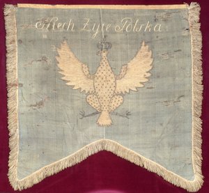 Galhardete da época do Tadeusz Kosciuszko (1746-1817) Revolta em 1794 (lã) de Polish School