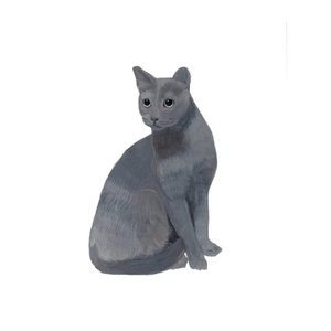 Azul russo, 2014 (aguarela e guache sobre papel) de Polly Horner