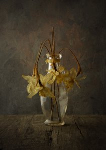 Natureza morta floral melancólica de Popa Kornel Andras