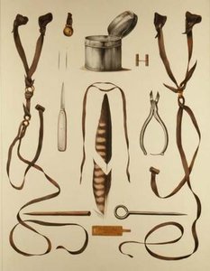 Equipamento para Falcoaria, de 