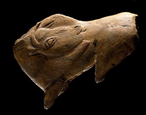 Levantamento do bisonte (Escultura em madeira de rena do abrigo da Madeleine em Dordogne. 11000 A.C.) de Prehistoric Prehistoric