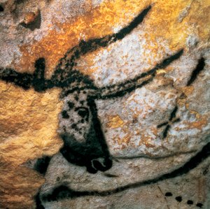 Pintura parietal representando um auroque (bovino extinto), Bulls Room, Gruta de Lascaux, Montignac, Dordogne, França, Período Paleolítico Magdaleniano (pintura) de Prehistoric Prehistoric