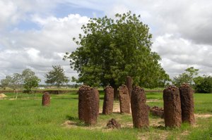 Pré-história: Círculo megalítico de pedras de Wassu, Gâmbia (foto) de Prehistoric Prehistoric