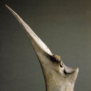 Pré-história, cultura Polada: ponta de ossos da Polada Tourbiere, Lonato. Idade do Bronze. Roma, Museu Nacional Etnográfico Pré-histórico Luigi Pigorini de Prehistoric Prehistoric