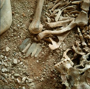 Pré-história: sepultura dupla de adultos e crianças. Vista detalhada do enxoval funerário da Caverna Candidata Arene (Finale Liguria), Liguria. Mesolítico, 7000-6000 AC. Genes, museo di archeologia ligure de Prehistoric Prehistoric
