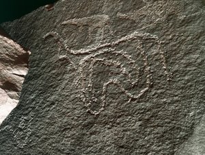 Pré-história, arte rupestre: uma rocha séria da representação de um gado. Estilo tazina. Idade da Pedra 5000-2000 AC. Taghit, planalto Haut du Hoggar (Ahaggar), Argélia de Prehistoric Prehistoric