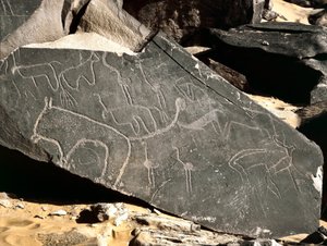 Pré-história, arte rupestre: pedra sepulcral representando leões, antílopes, avestruzes e gado. Idade da Pedra 5000-2000 AC. Taghit, planalto de Haut du Hoggar, Argélia de Prehistoric Prehistoric