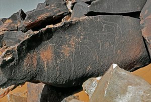 Pré-história, arte rupestre: pedra tumular da representação do gado. Estilo tazina. Idade da pedra 5000-2000 AC. Taghit, planalto Haut du Hoggar (Ahaggar), Argélia de Prehistoric Prehistoric