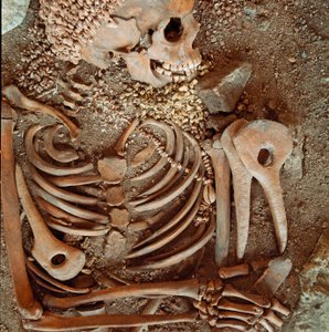 Pré-história: esqueleto e enxoval funerário de adolescentes dito do jovem príncipe da caverna da Candelária de Arene (Finale Ligure): colar de conchas, chifre de veado e sílex. Idade da Pedra, Paleolítico Superior. Genes, Museo di archeologia Ligure de Prehistoric Prehistoric