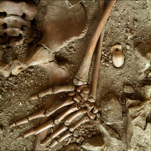 Pré-história: sepultura juvenil. Vista detalhada do enxoval funerário da caverna do Candidato Arene (Finale Ligure), Ligúria. Paleolítico Superior, 24000 AC. Genes, museo di archeologia ligure de Prehistoric Prehistoric