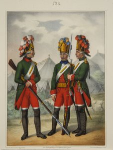 Granadeiros do Regimento Preobrazhensky, Semenovsky e Izmailovsky em 1763-1775, início da década de 1840 de Pyotr Ivanovich Razumikhin