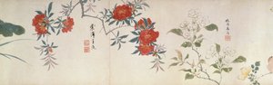 Flores, Handscroll (tinta e cor sobre papel) de Qing Dynasty Chinese School