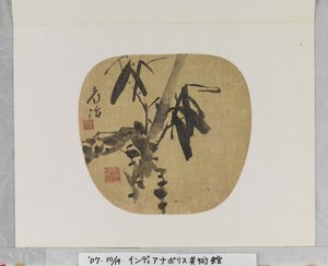 Bambu de Qu Yingshao