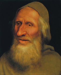 Cabeça de um homem velho de Quentin Massys or Metsys
