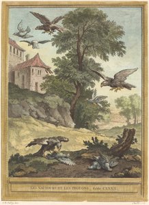 Abutres e pombos de Quentin Pierre Chedel after Jean Baptiste Oudry