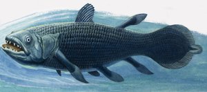 Coelacanto de R.B. Davis