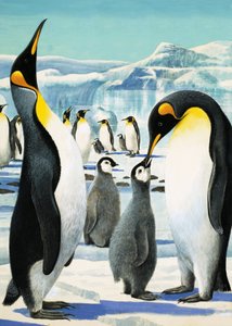 Rei Pinguim de R.B. Davis
