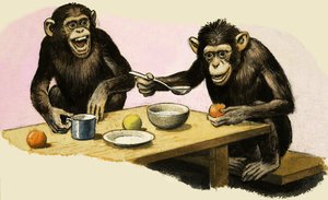 Z de Zoo. A festa de chá do chimpanzé