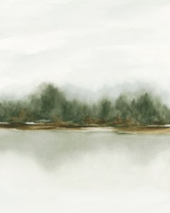 Reflexo na Floresta Ennevoada