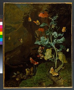 Natureza morta com flores, borboletas e um lagarto em um vale, antes de 1750 de Rachel Ruysch