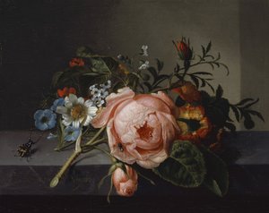 Natureza morta com Rose Branch, Beetle e Bee, 1741 (óleo sobre tela montado em carvalho)