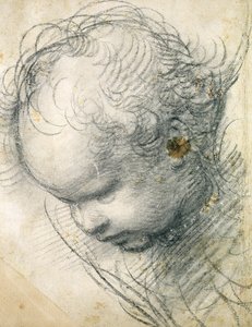 Cabeça de um querubim (giz preto e carvão sobre papel) de Raffaello Sanzio Raphael