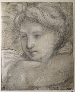 Cabeça de um anjo, c. 1520 de Raffaello Sanzio Raphael