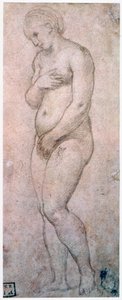 Estudo de Vênus, c1500-1520 de Raffaello Sanzio Raphael