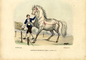 Cavalo italiano, 1863-79 de Raimundo Petraroja