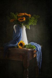  de Ramiz Sahin