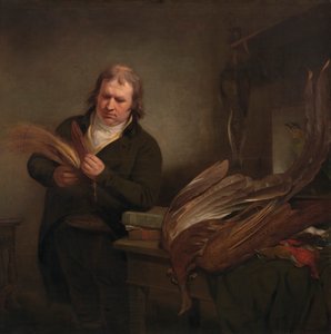 Um Ornitólogo, Possivelmente John Latham de Ramsay Richard Reinagle
