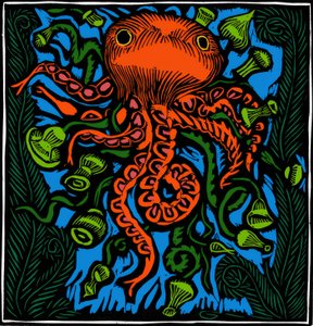 Zoologia / Vida marinha / Polvo de Raoul Dufy