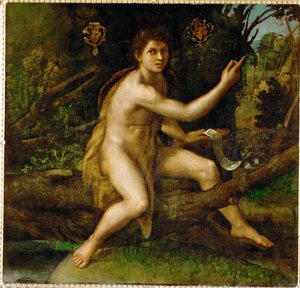 São João Batista no deserto, mostrando a árvore que ... de Raphael (1483 1520)