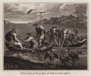 Desenho animado do Raphael: Miraculous Draught of Fishes, Luke, Capela V (gravura) de after Raphael