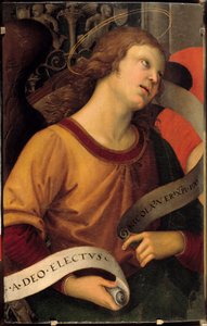 Um anjo. Um fragmento do retábulo do Baronci. Pintura de Raffaello Sanzio dit Raphael (1483-1520) de Raphael