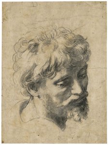 "Retrato de jovem apóstolo" (Cabeça de jovem apóstolo) Carvão vegetal sobre papel de Rafael (Raffaello Sanzio) (1483-1520) Coleção particular