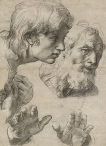 Estudos das cabeças de dois apóstolos e de suas mãos (giz preto com toques de branco em papel acinzentado) de Raphael
