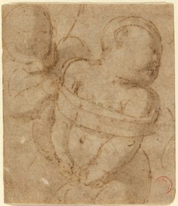 Cupido preso de Raphael