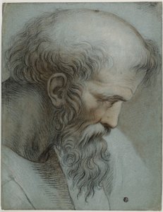 Cabeça de Pitágoras de Raphael
